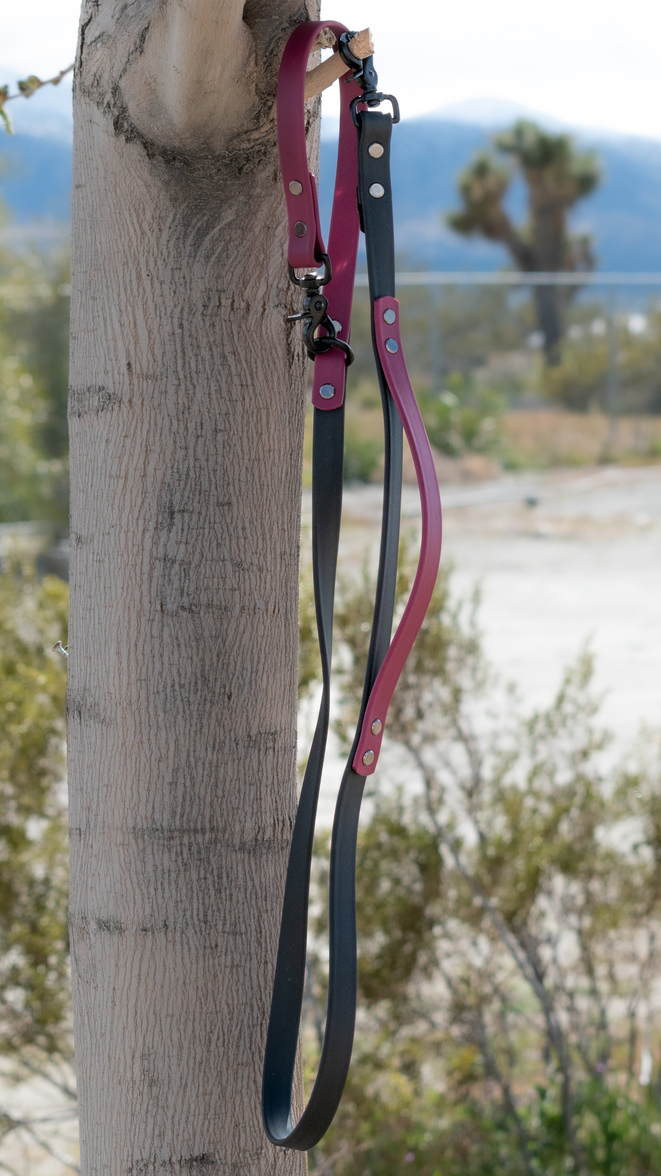 Element Leash