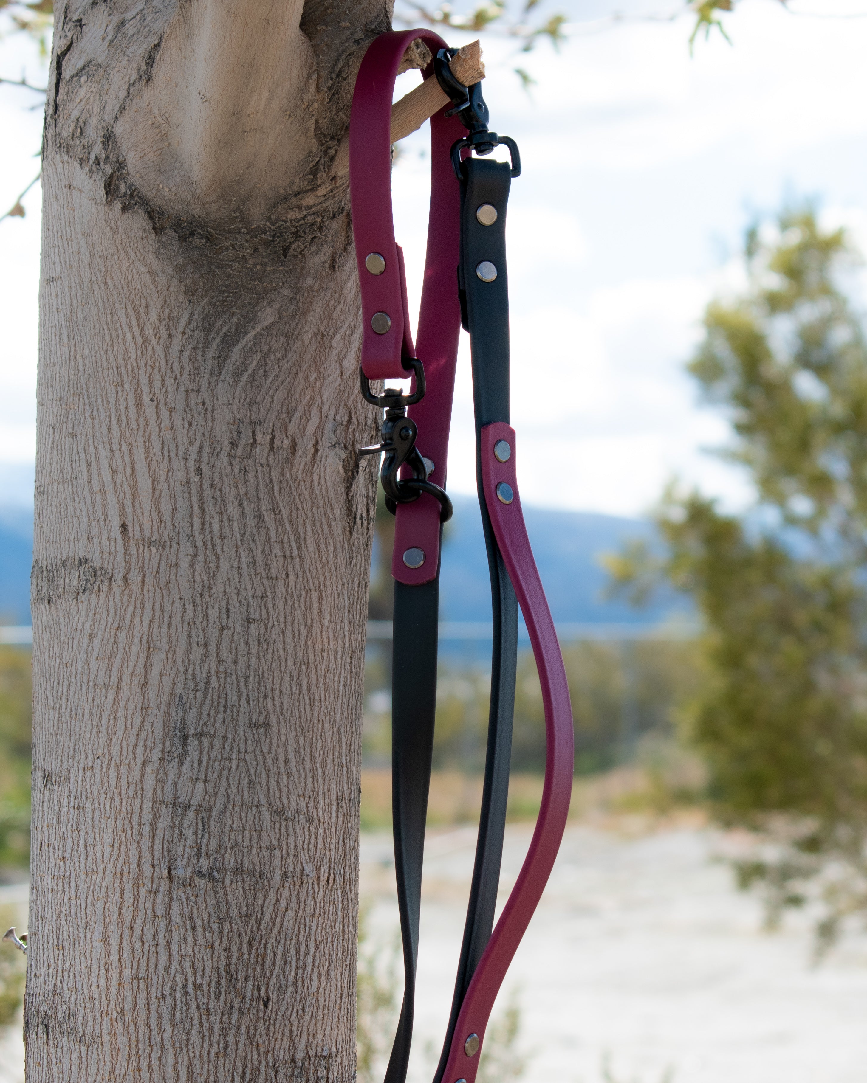 Element Leash